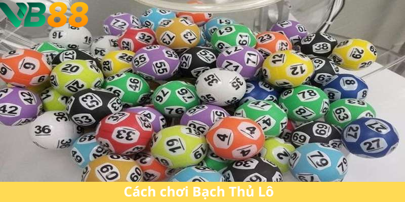 Bạch Thủ Lô Là Gì