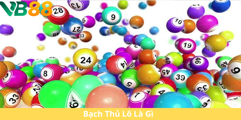 Bạch Thủ Lô Là Gì